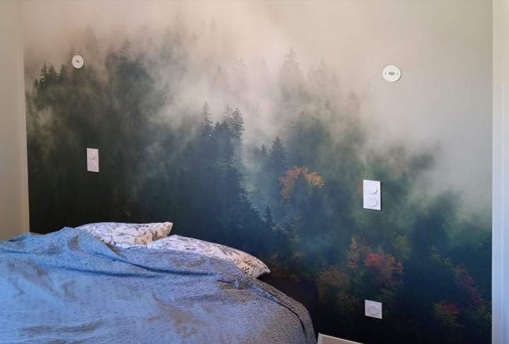 Transformez vos pièces avec la pose de revêtements muraux décoratifs.
